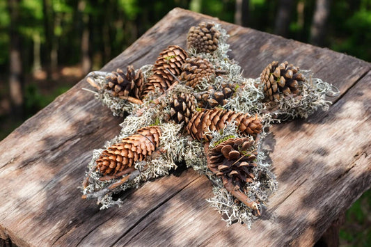 Wandkranz, Mooskranz, Stern, Sternkranz, Gartenkranz, Grabschmuck, Zapfenkranz ca. 38 cm