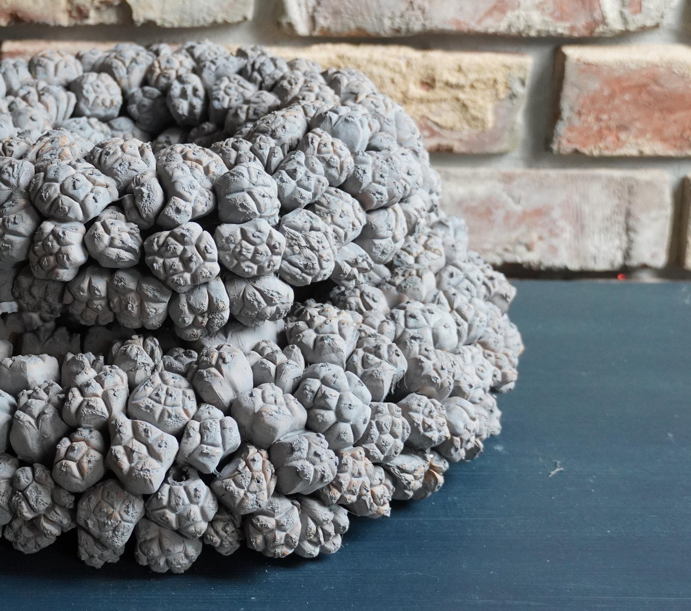 Wandkranz 30 oder 40 cm getrocknete Ata-Früchte Kranz Türkranz