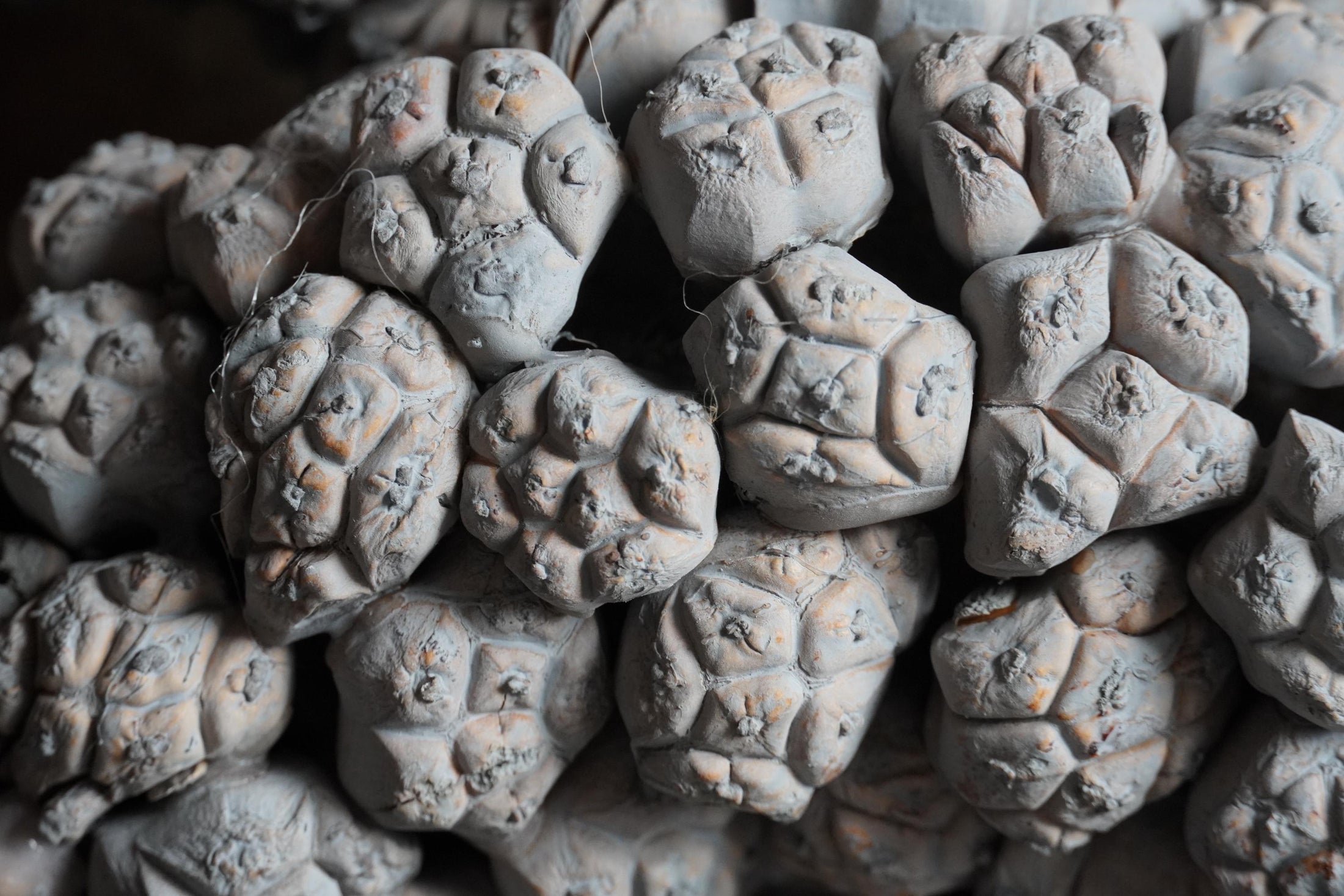 Wandkranz 30 oder 40 cm getrocknete Ata-Früchte Kranz Türkranz