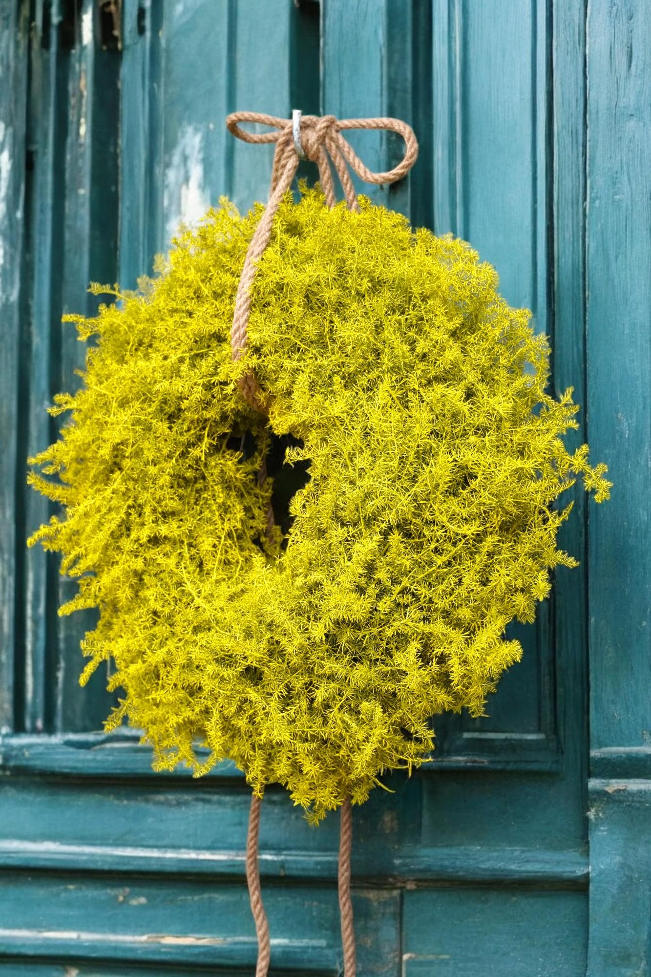 Eleganter Wandkranz / Türkranz, Rapsgelb Asparagus-Kranz 35, oder 45 Durchmesser