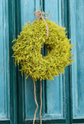 Bild in Galerie-Betrachter laden, Eleganter Wandkranz / Türkranz, Rapsgelb Asparagus-Kranz 35, oder 45 Durchmesser
