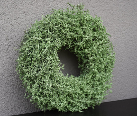 Kranz in Pastell Altrosa aus Asparagus Türkranz Wandkranz 28, 35 oder 45 cm