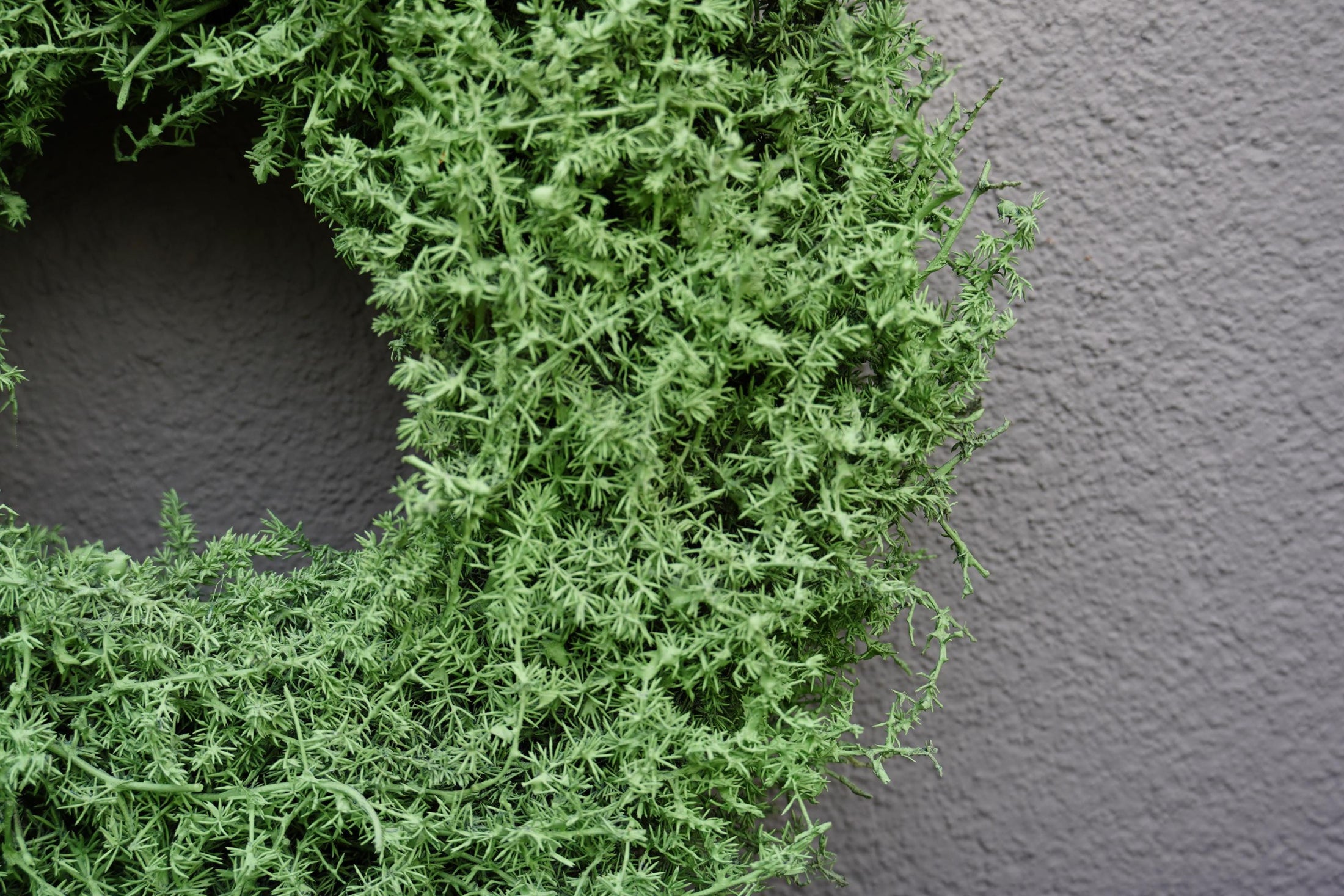 Kranz in Pastell Hellgrün aus Asparagus Türkranz Wandkranz 28, 35 oder 45 cm