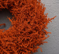 Bild in Galerie-Betrachter laden, Kranz in Pastell Orange aus Asparagus Türkranz Wandkranz 28, 35 oder 45 cm
