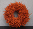 Bild in Galerie-Betrachter laden, Kranz in Pastell Orange aus Asparagus Türkranz Wandkranz 28, 35 oder 45 cm

