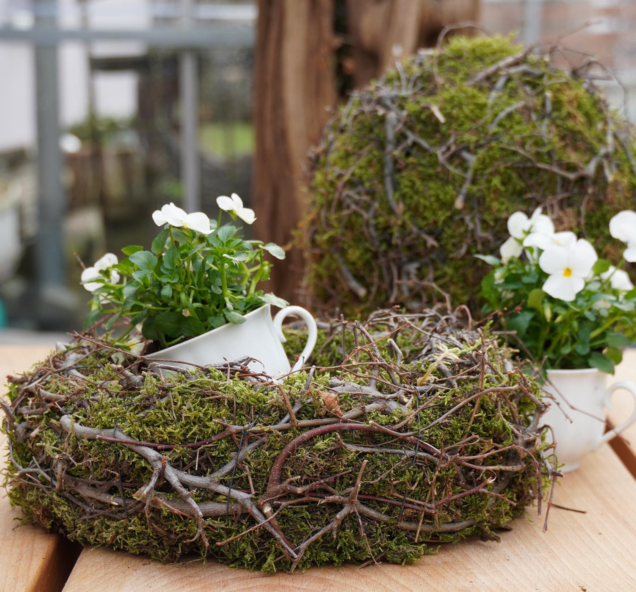 Kranz Moosnest Mooskugel mit Bonsai und Birkenästen – Natürliches Dekohighlight für Innen & Außen