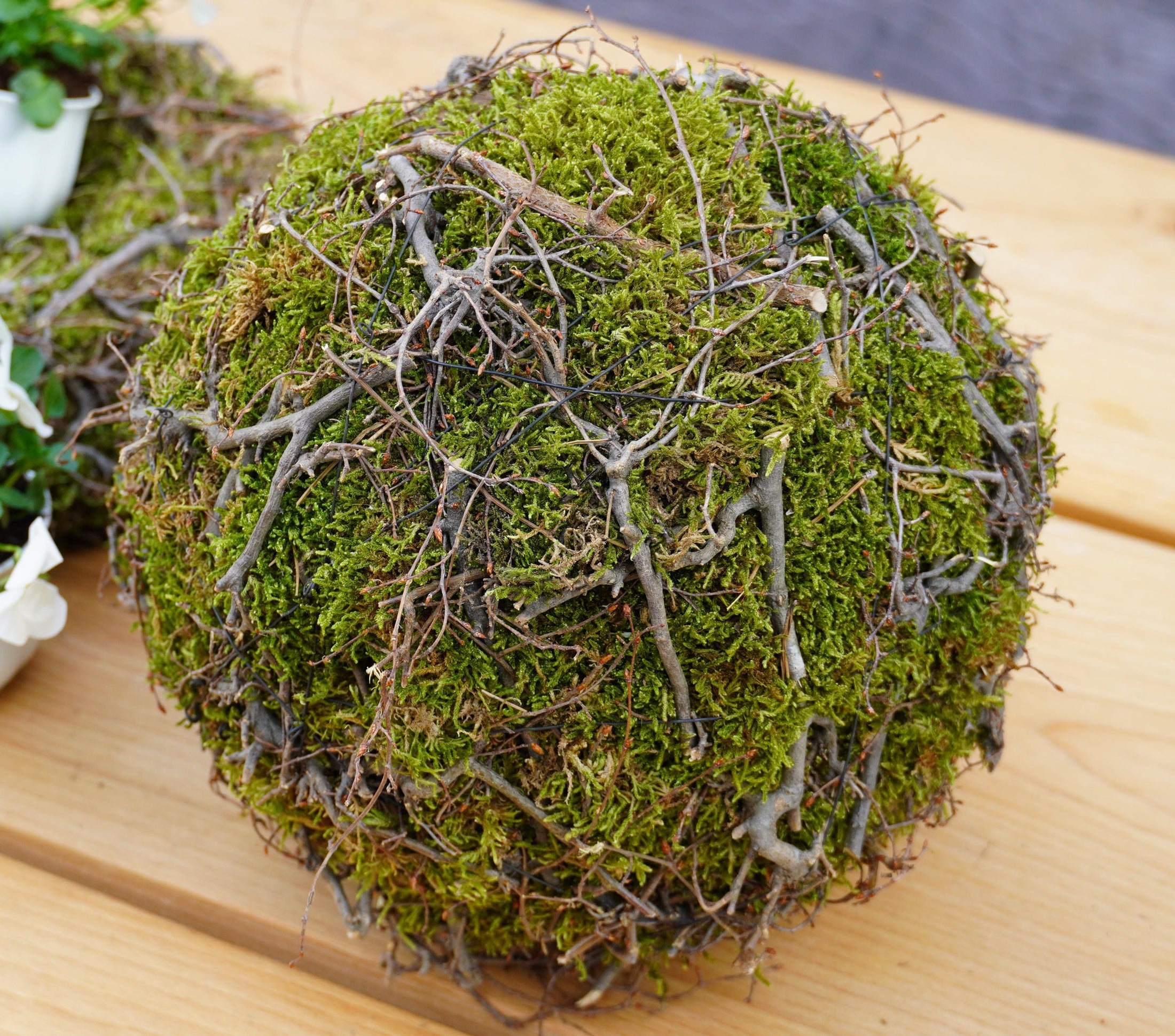 Kranz Moosnest Mooskugel mit Bonsai und Birkenästen – Natürliches Dekohighlight für Innen & Außen