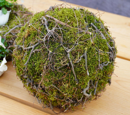 Kranz Moosnest Mooskugel mit Bonsai und Birkenästen – Natürliches Dekohighlight für Innen & Außen