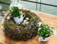 Bild in Galerie-Betrachter laden, Kranz Moosnest Mooskugel mit Bonsai und Birkenästen – Natürliches Dekohighlight für Innen & Außen
