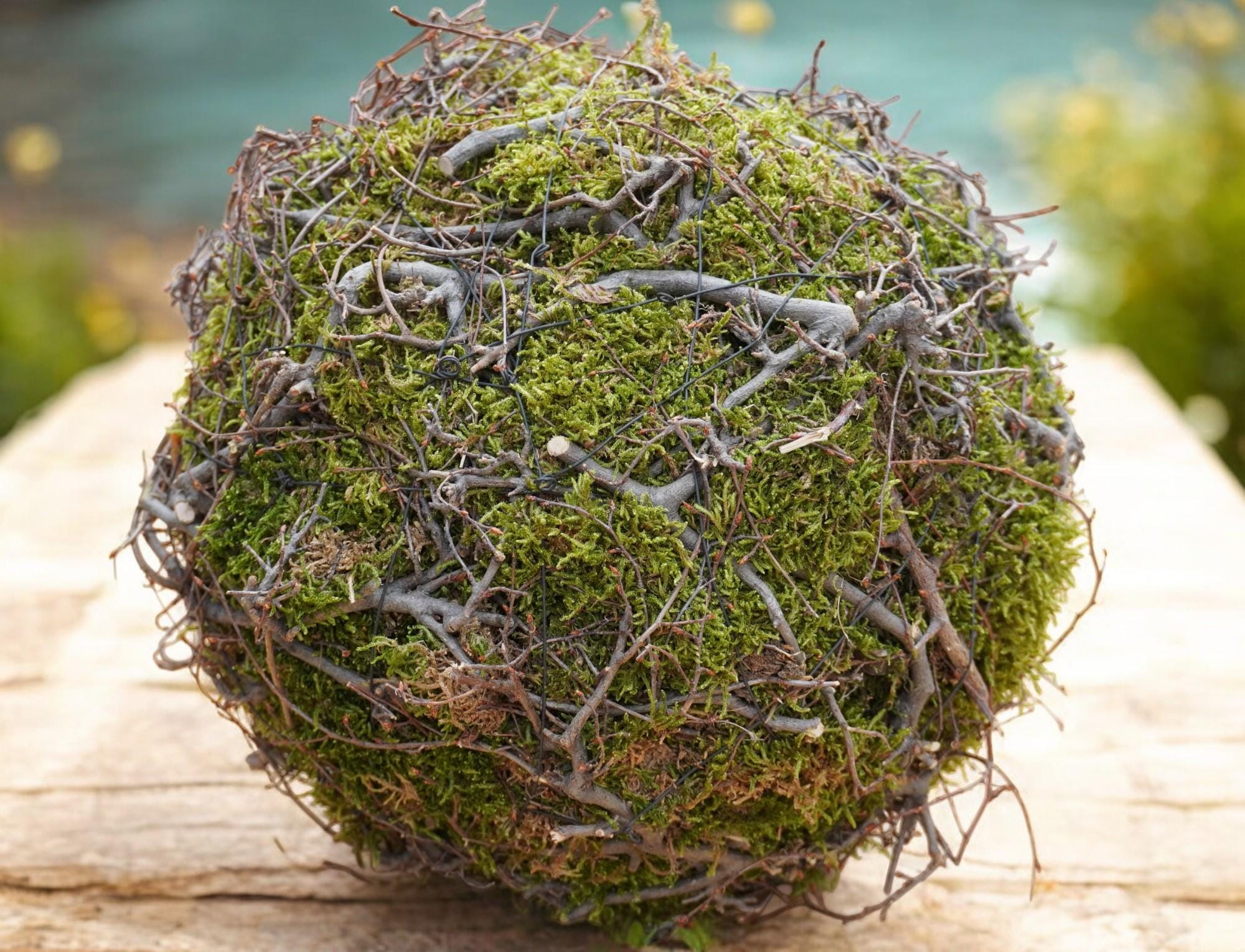 Kranz Moosnest Mooskugel mit Bonsai und Birkenästen – Natürliches Dekohighlight für Innen & Außen