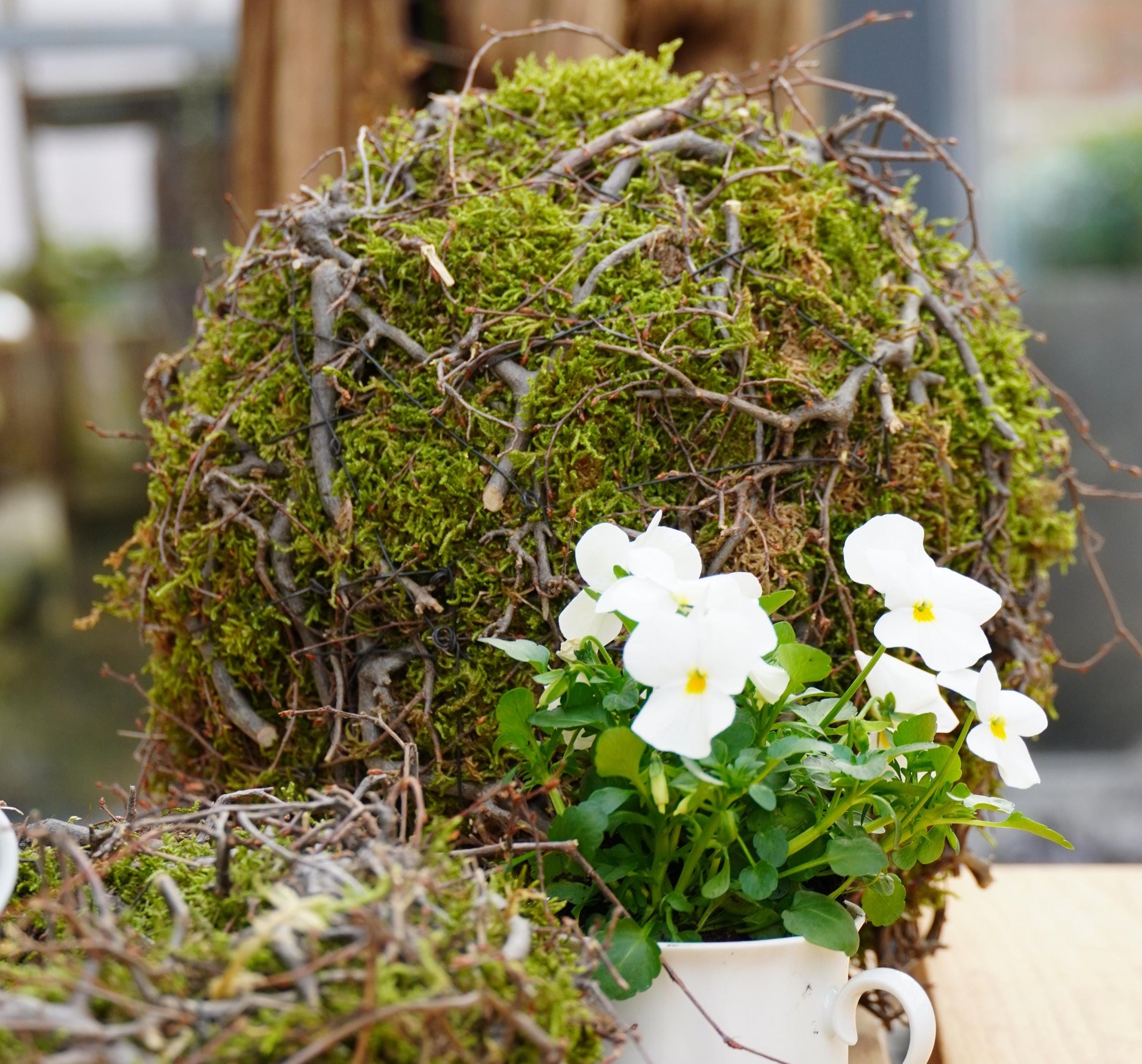 Kranz Moosnest Mooskugel mit Bonsai und Birkenästen – Natürliches Dekohighlight für Innen & Außen