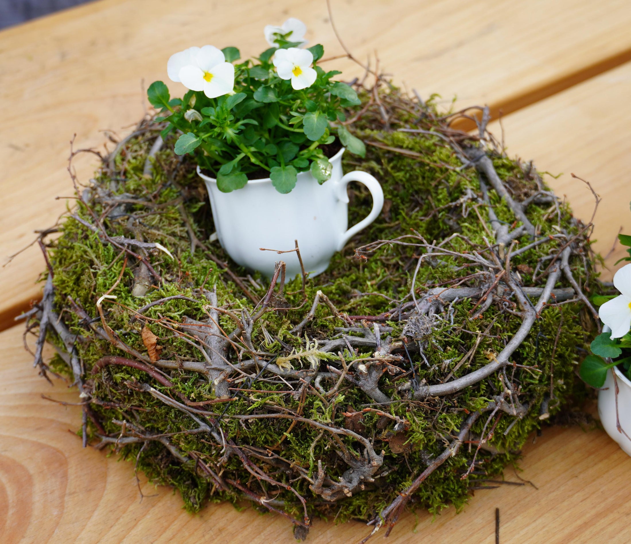 Kranz Moosnest Mooskugel mit Bonsai und Birkenästen – Natürliches Dekohighlight für Innen & Außen