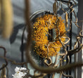 Bild in Galerie-Betrachter laden, Schleierkraut Kranz in Gelb, für Tür und Wand ca. 30 cm Durchmesser
