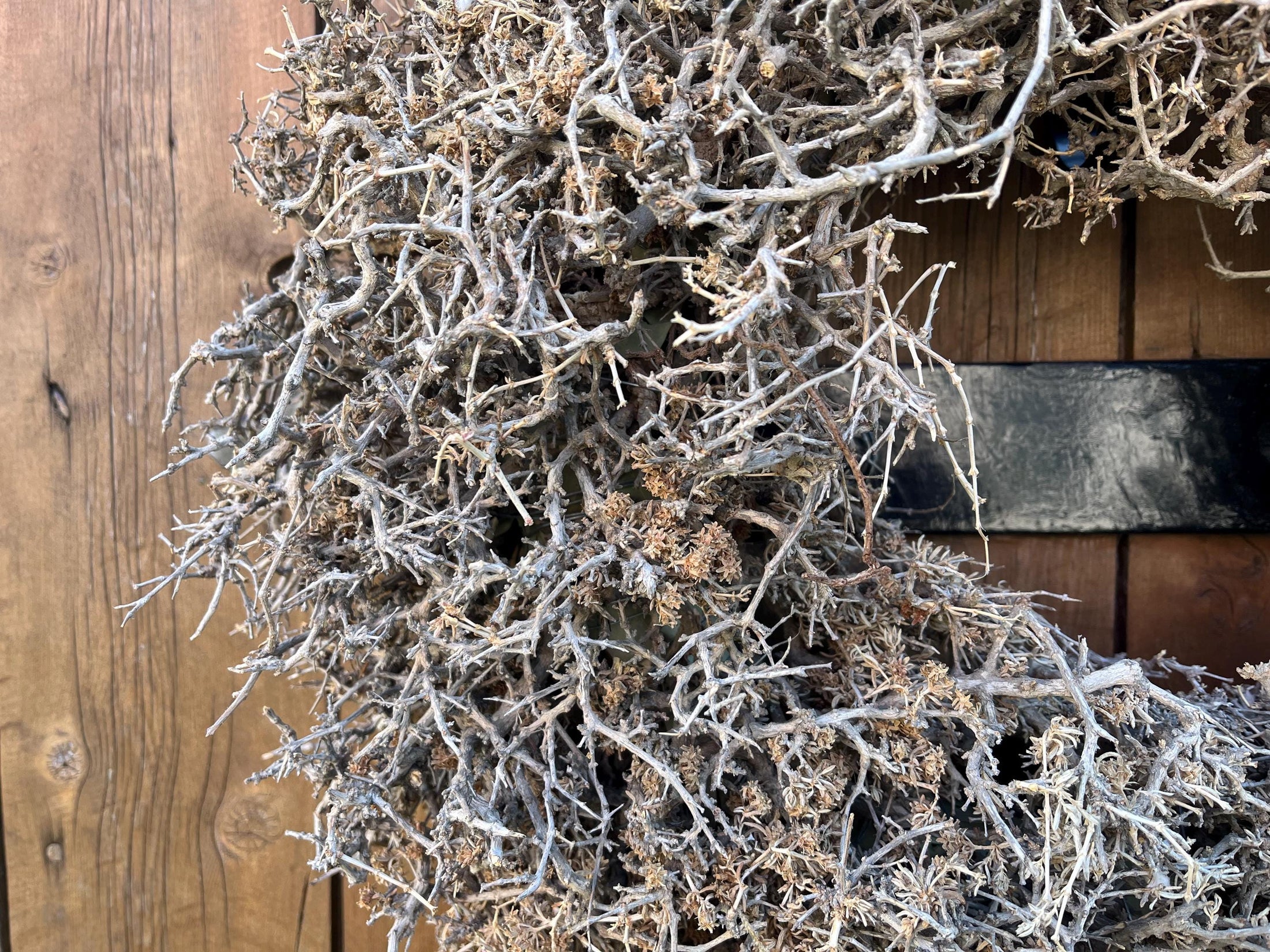 Vintage wild Bonsai-Kranz Türkranz Wandkranz