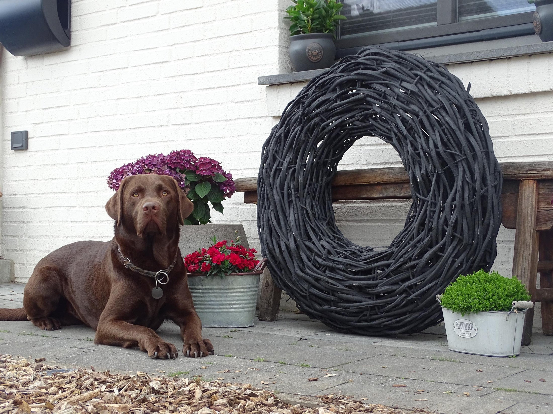 XXL 85 cm Lianen-Kranz in schwarz – Handgefertigte Outdoor-Deko in Treibholz-Optik