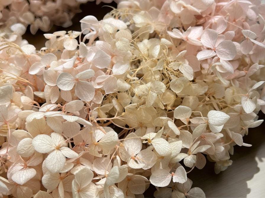 Hortensienkranz rosa 30 cm – konservierte echte Blüten (Annabelle) – Trockenblumenkranz Deko – handgemachter Blumenkranz