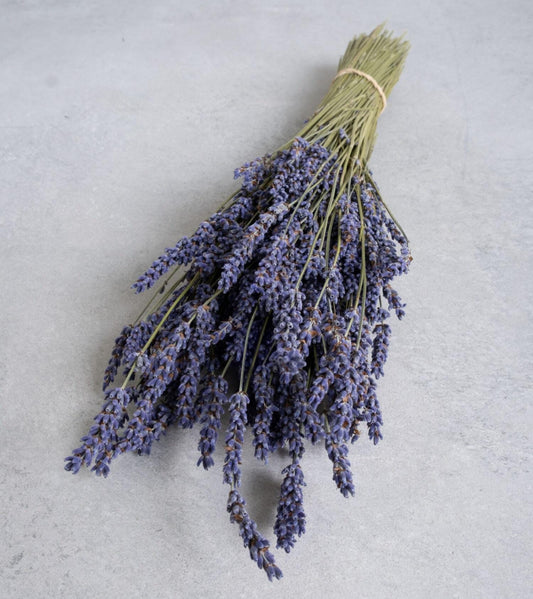 Lavendel | Getrockneter Lavendelbund | 100% Naturprodukt | Intensiver Duft aus der Provence
