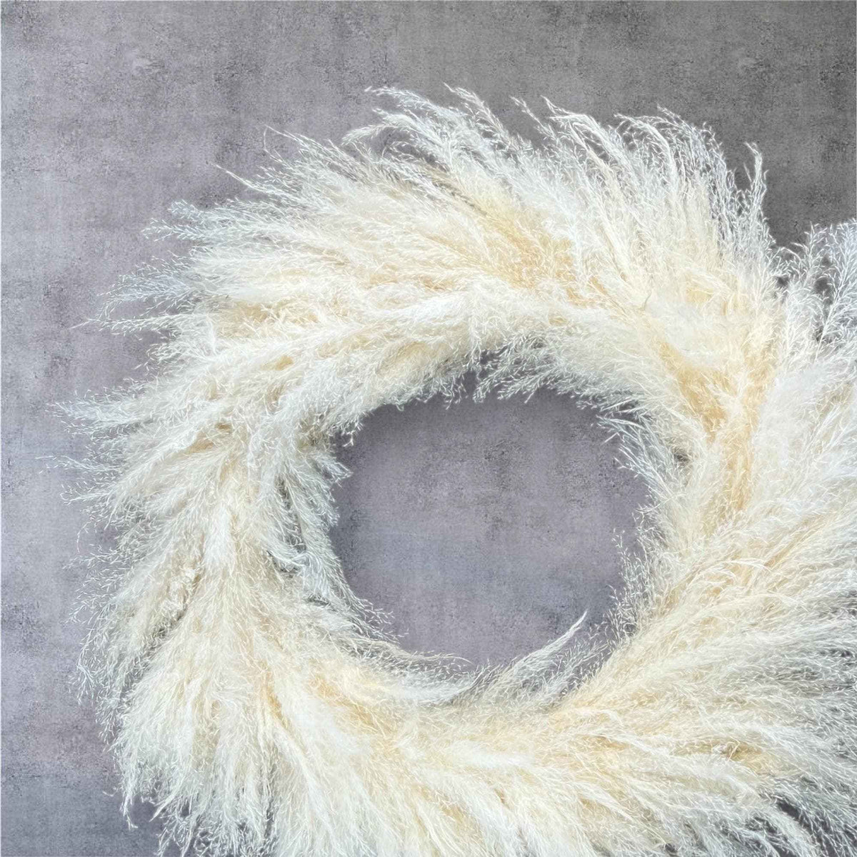 Pampasgras Kranz 60 cm – Boho Türkranz Creme XXL