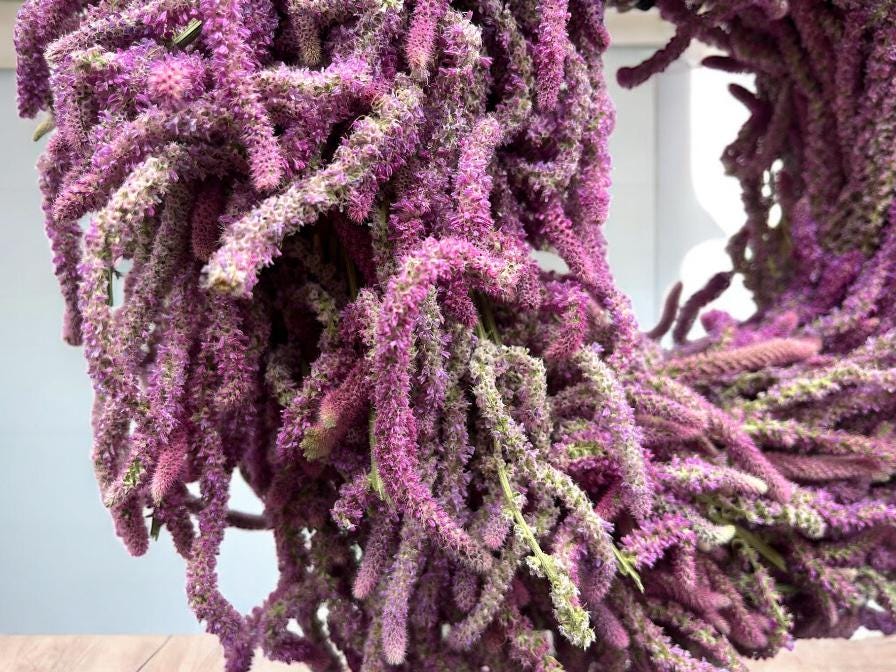 Limonium Kranz 40 cm – Handgemachter Trockenblumenkranz in Violett | Naturkranz für Wand, Tür & Tisch | Dekokranz aus Statice