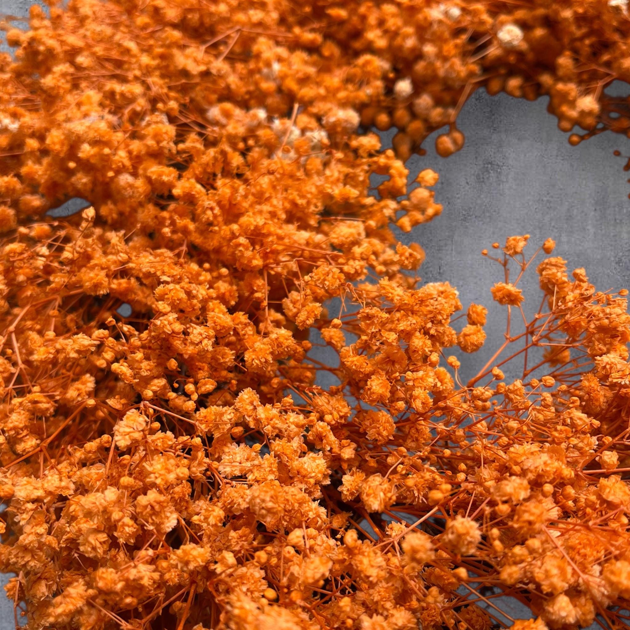 Schleierkraut Kranz 30 cm – Orange Trockenblumenkranz | Herbstkranz Boho Türkranz | Handgefertigte Wanddeko aus Schleierkraut
