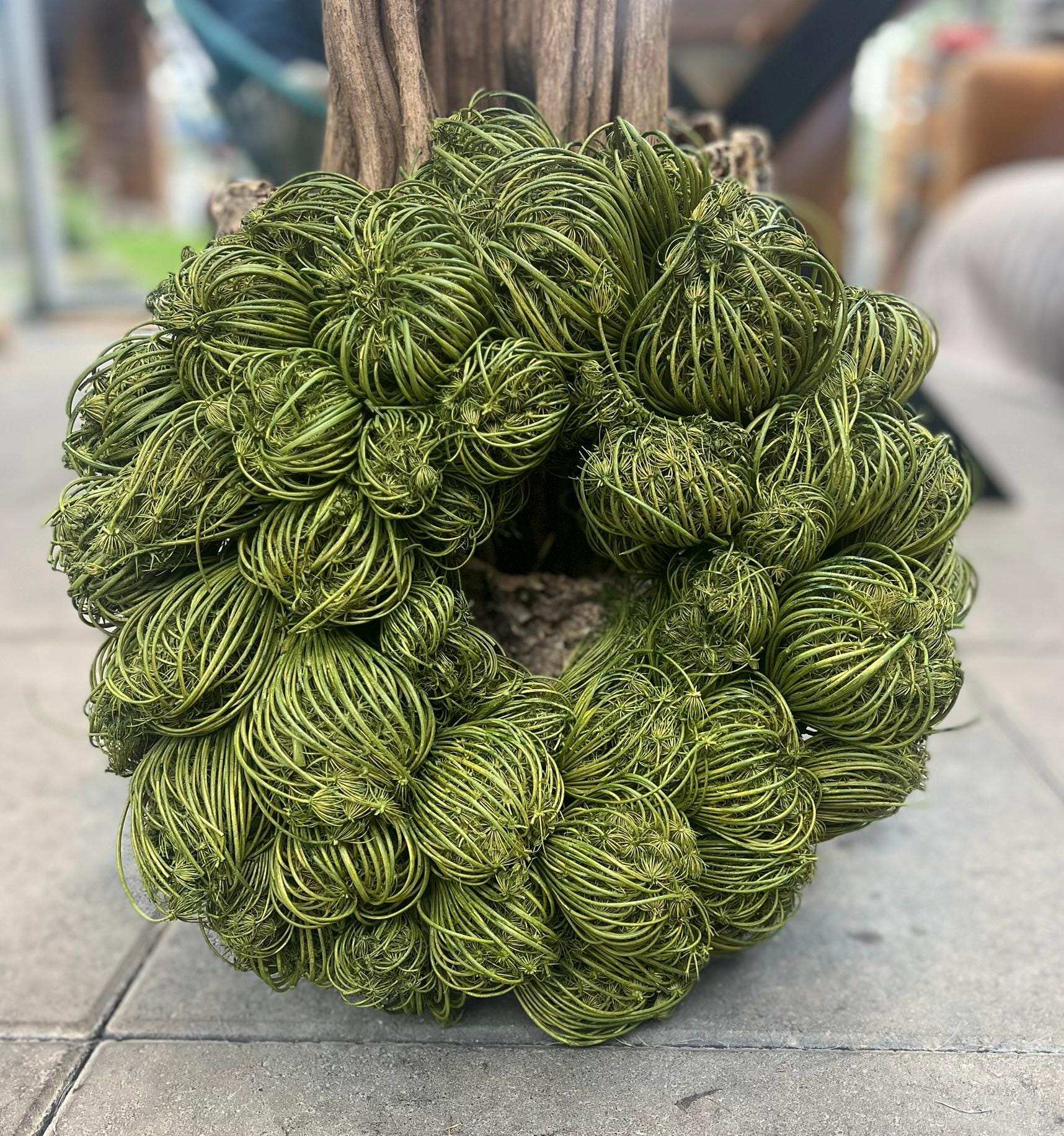 Trockenblumenkranz Grün mit Blüten 35 cm Durchmesser, Kranz Türkranz Wandkranz