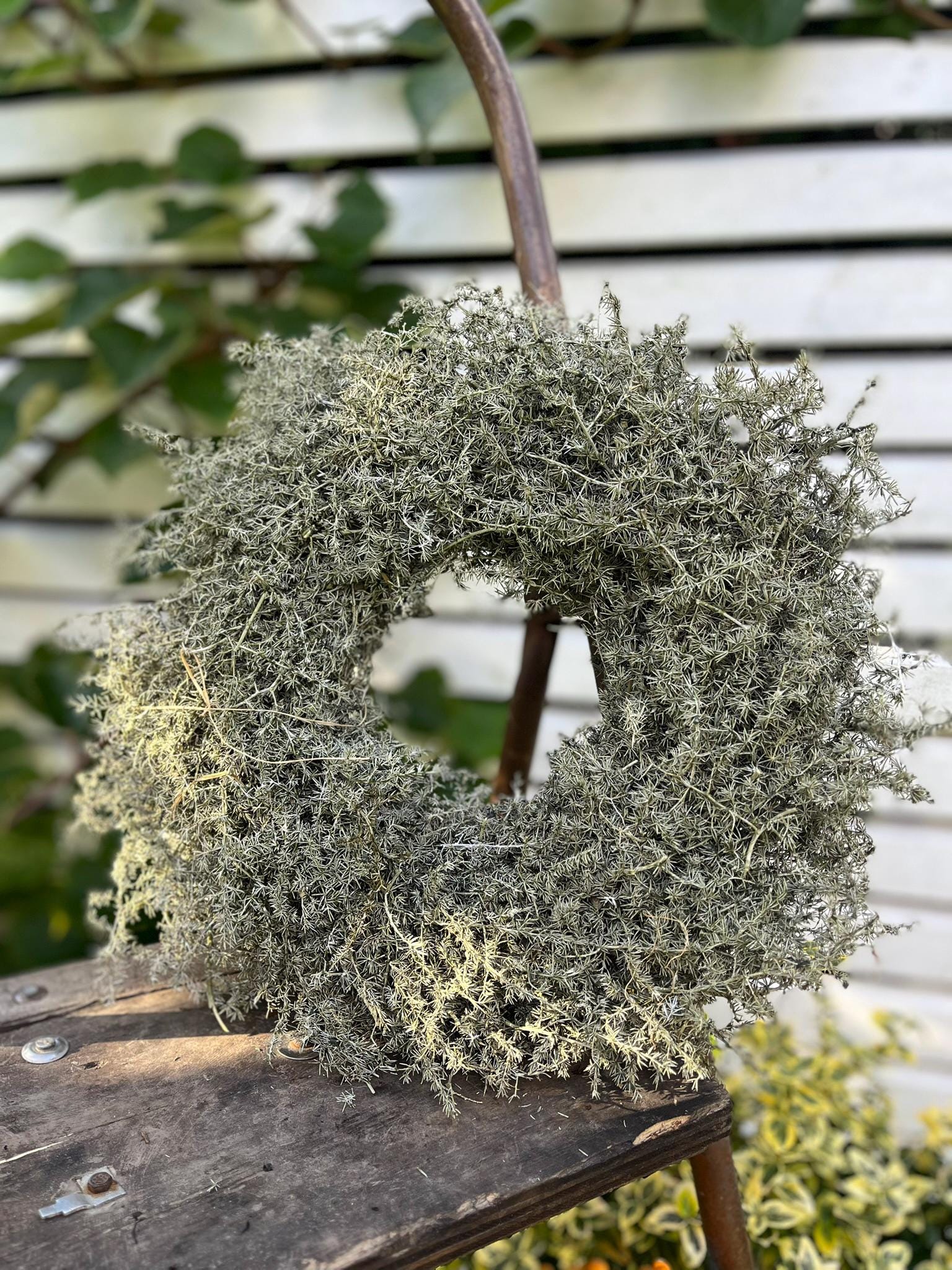 Eleganter Wandkranz / Türkranz, Grün Asparagus-Kranz 40 cm Durchmesser