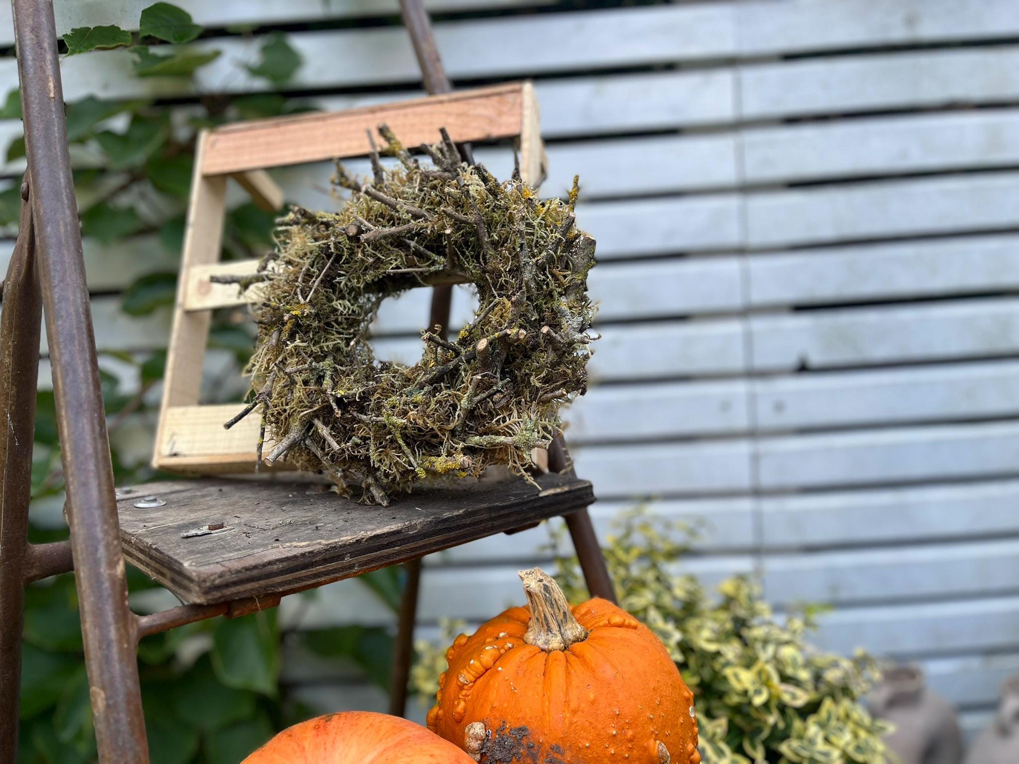 Naturkranz aus Moos & Ästen – Handgefertigter Deko-Kranz (Ø 28 cm) | Türkranz, Herbstkranz, rustikale Naturdeko