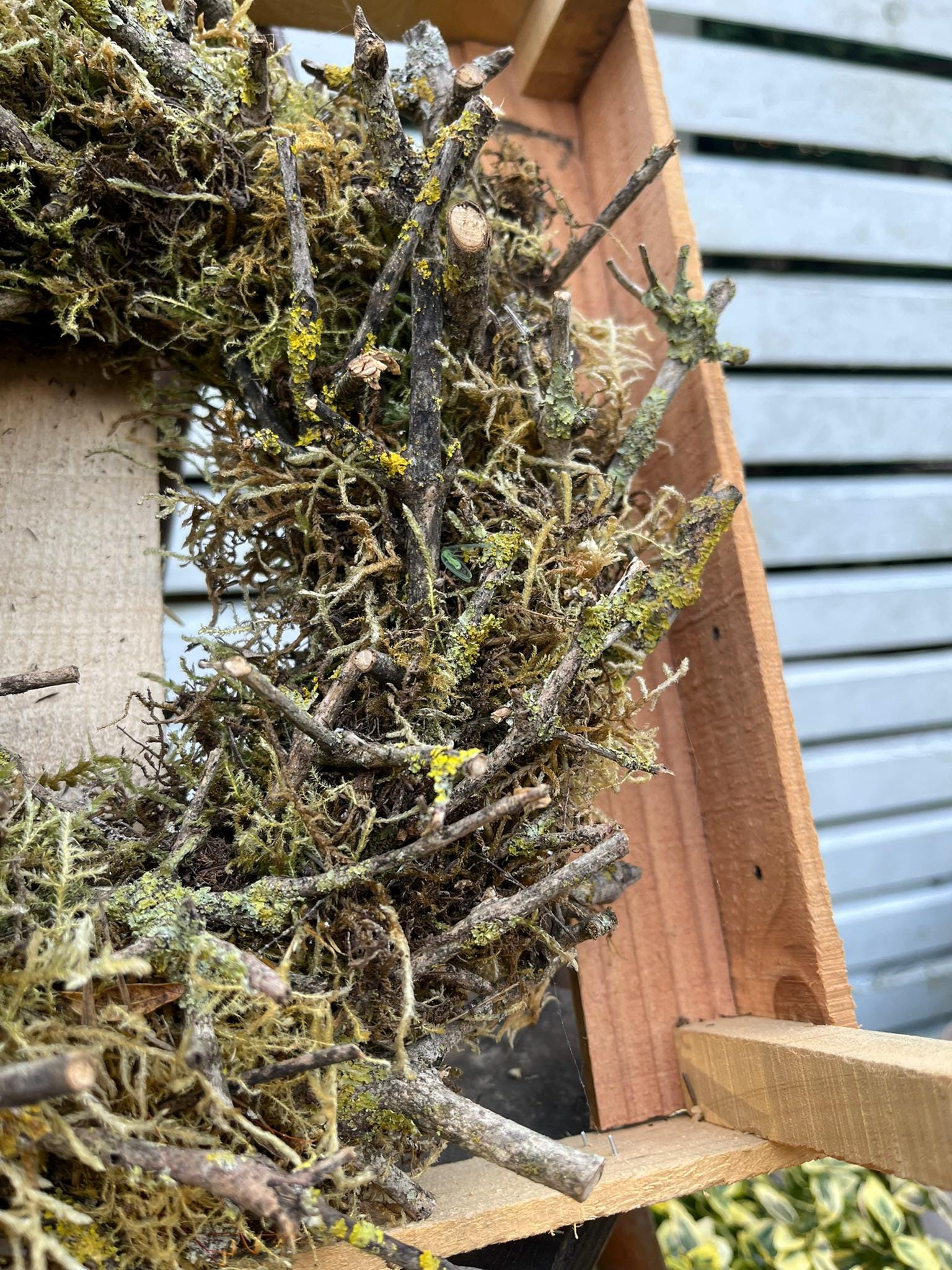 Weihnachtskranz Natur – Mooskranz mit Ästen (Ø 28 cm) | Handgemachte Winterdeko, rustikaler Türkranz für Weihnachten