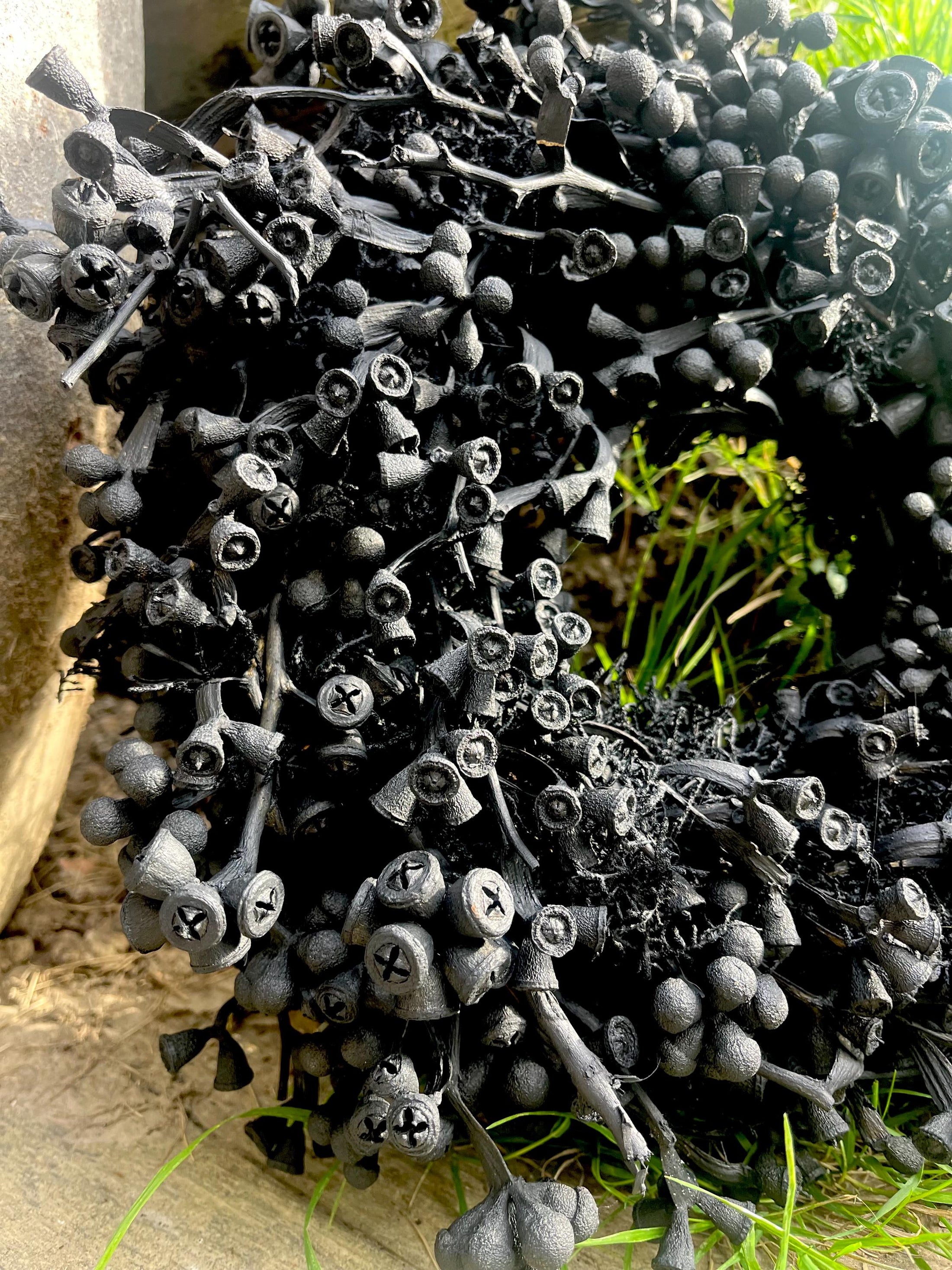 Schwarzer Kranz aus Eukalyptus Samen 30 cm Durchmesser, Türkranz Wandkranz