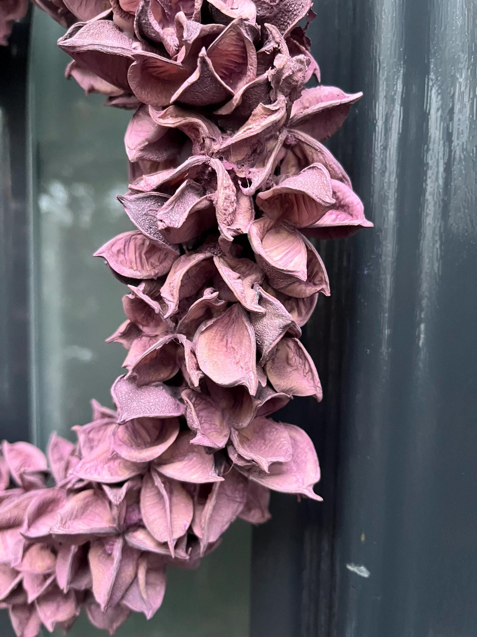 Türkranz Beerenfarbe 30 cm – Dekokranz aus Baumwollkapseln – Haustürdeko & Indoor – Frühling, Ganzjahresdeko