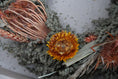 Bild in Galerie-Betrachter laden, Türkranz Trockenblumen 30 cm – Frühlingskranz mit Naturmaterial – Haustürdeko & Indoor – Boho, Vintage
