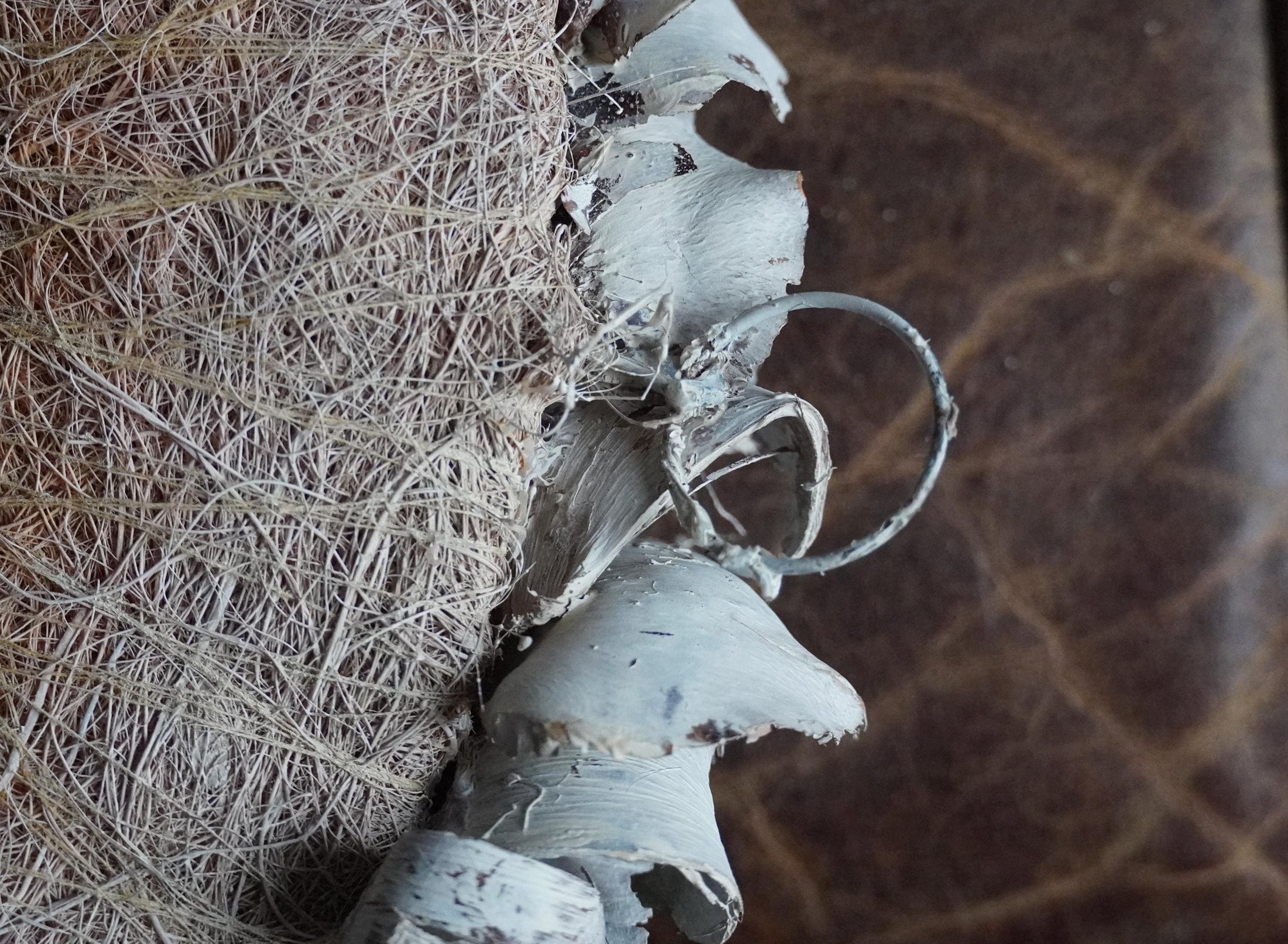 Palmblatt Kranz 40cm – helles Taupe – flache Rückseite mit Öse – Türkranz Wandkranz – optional Metallhalter