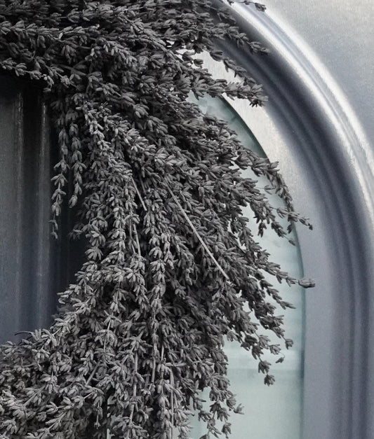 Echter Lavendelkranz 40cm – schwarz gefärbt – Naturkranz – Türkranz modern – getrockneter Lavendel Deko