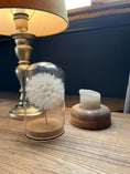 Bild in Galerie-Betrachter laden, Echte Pusteblume im Glas | Glaskuppel Deko | Wunschblume Geschenk | Naturdeko im Glas | Geschenkbox

