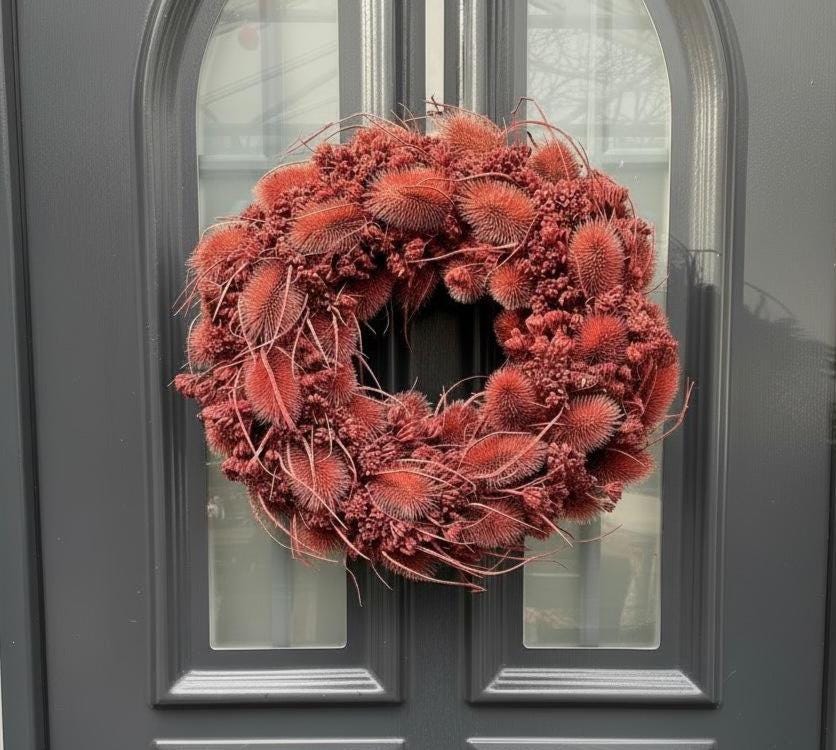 Sommerkranz 38 cm Rostrot | Moderner Türkranz mit Disteln | Naturkranz für Haustür | Kranz in Terracotta | Wandkranz Frühlings Deko