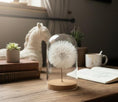 Bild in Galerie-Betrachter laden, Echte Pusteblume im Glas | Glaskuppel Deko | Wunschblume Geschenk | Naturdeko im Glas | Geschenkbox
