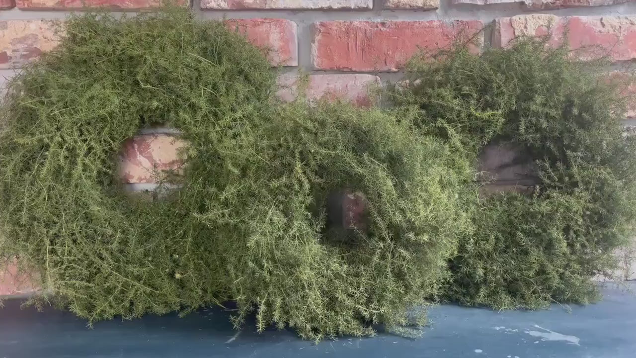 Türkranz, Wandkranz aus Asparagus in 28, 35, 45 oder 60 cm Durchmesser