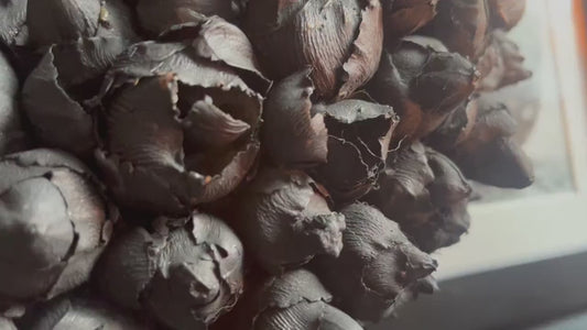 Shabby-schwarz kranz / türkranz / wandkranz mit coco-früchten 40 cm durchmesser