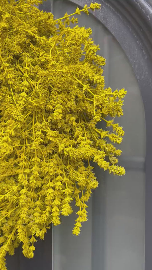 Lavendel Kranz in gelb, für Tür und Wand ca. 35 cm Durchmesser
