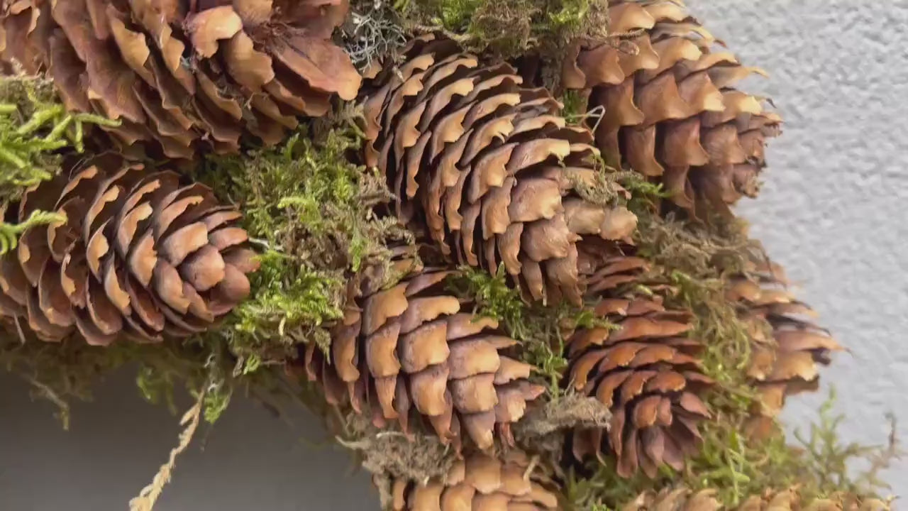 Dicker Kranz mit Tannenzapfen ca 30 und/oder 40 cm Durchmesser / Weihnachtskranz