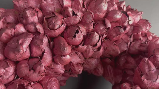 Limitierter Shabby-Lachs Kranz / Türkranz / Wandkranz mit Coco-Früchten 30 oder 40 cm Durchmesser