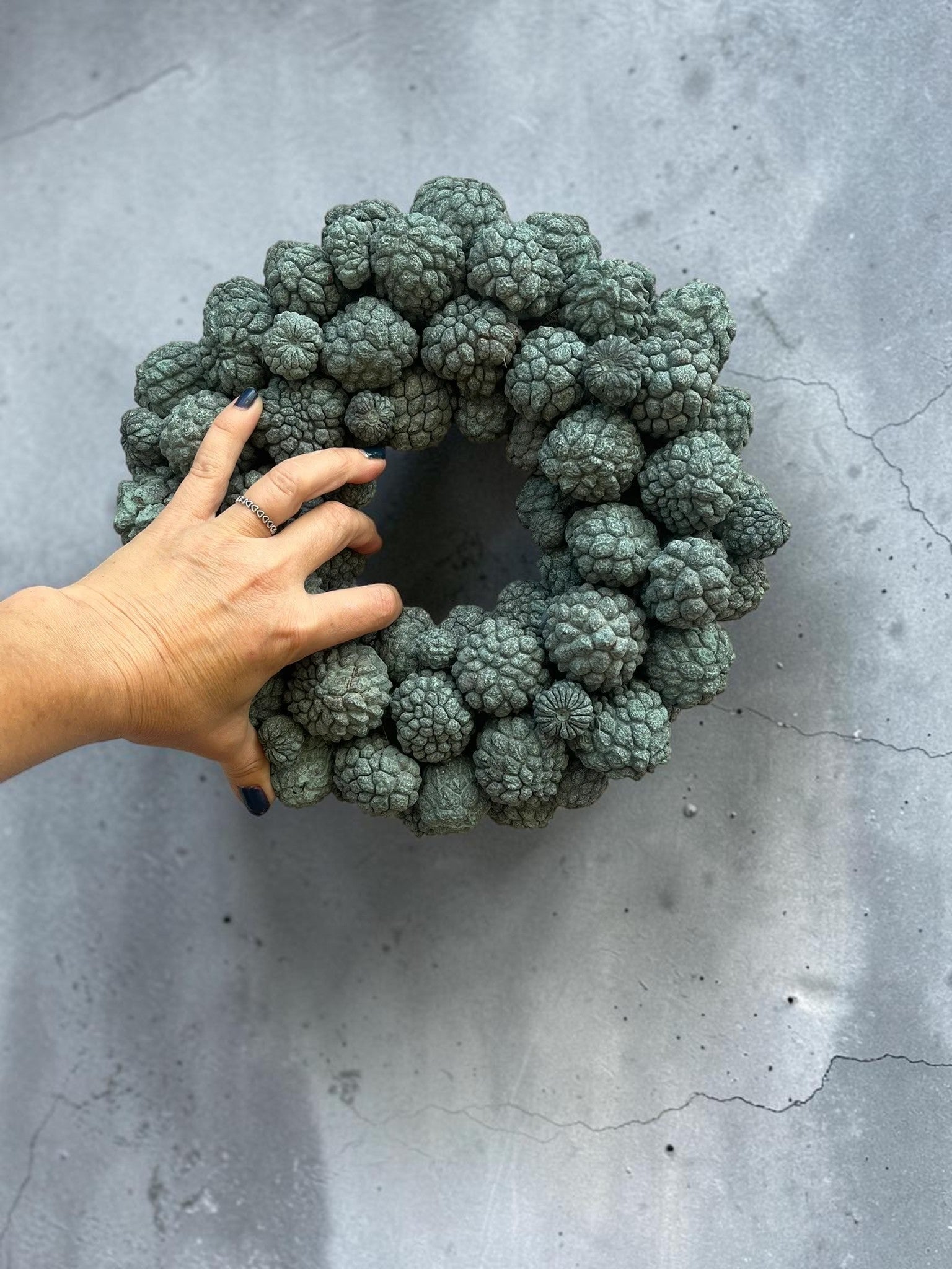 Zuckerschotenkranz 30 cm – Boho Wandkranz aus Trockenblumen | Handgefertigt | Naturdeko