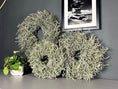Bild in Galerie-Betrachter laden, Eleganter Wandkranz / Türkranz, Grüner Asparagus-Kranz 28, 35 und 45 cm Durchmesser - Kranzshop
