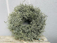 Bild in Galerie-Betrachter laden, Eleganter Wandkranz / Türkranz, Grüner Asparagus-Kranz 28, 35 und 45 cm Durchmesser - Kranzshop
