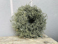 Bild in Galerie-Betrachter laden, Eleganter Wandkranz / Türkranz, Grüner Asparagus-Kranz 28, 35 und 45 cm Durchmesser - Kranzshop
