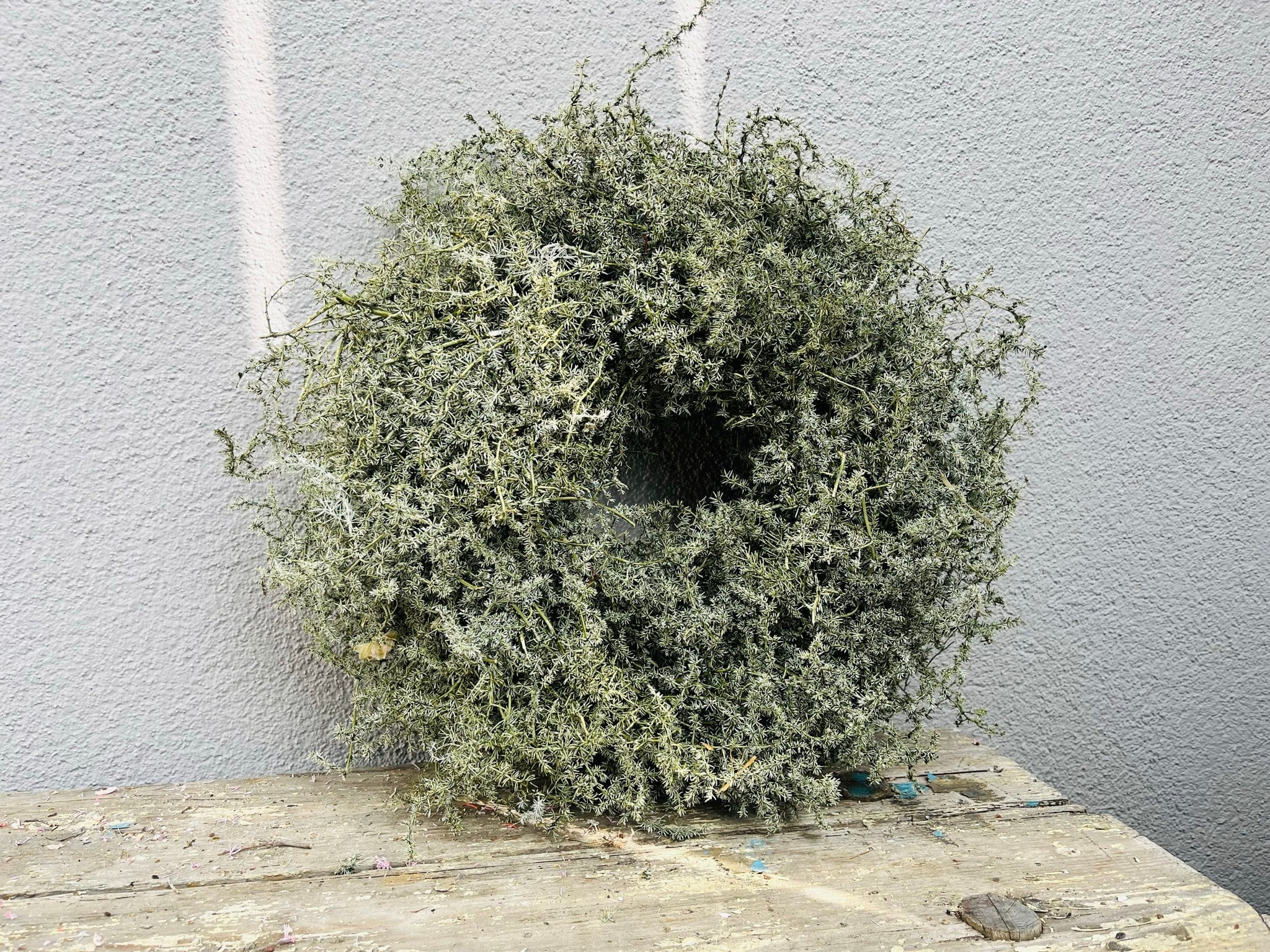 Eleganter Wandkranz / Türkranz, Grüner Asparagus-Kranz 28, 35 und 45 cm Durchmesser - Kranzshop