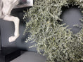 Bild in Galerie-Betrachter laden, Eleganter Wandkranz / Türkranz, Grüner Asparagus-Kranz 28, 35 und 45 cm Durchmesser - Kranzshop
