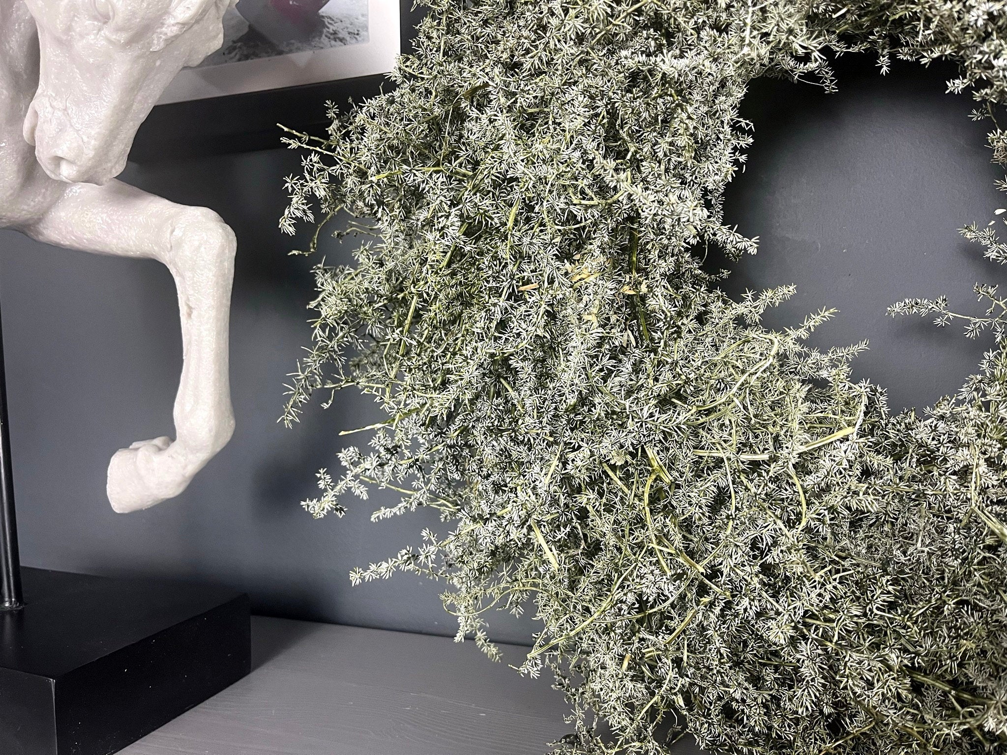 Eleganter Wandkranz / Türkranz, Grüner Asparagus-Kranz 28, 35 und 45 cm Durchmesser - Kranzshop