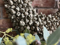 Bild in Galerie-Betrachter laden, Shabby-Grün Kranz / Türkranz / Wandkranz mit Coco-Früchten 55 cm Durchmesser
